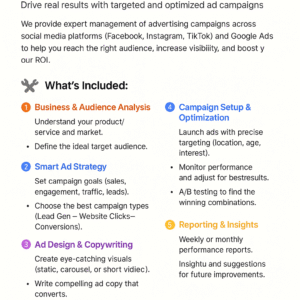 Social Media & Google Ads Campaign Management